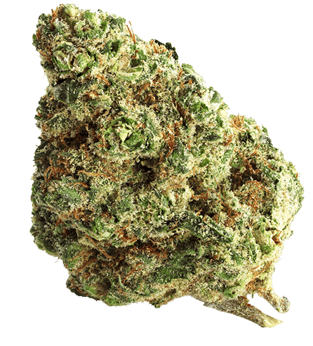 gas-house-ice-blue-cbd-sativa-citrus-spicy-earthy-greenhouse-grown