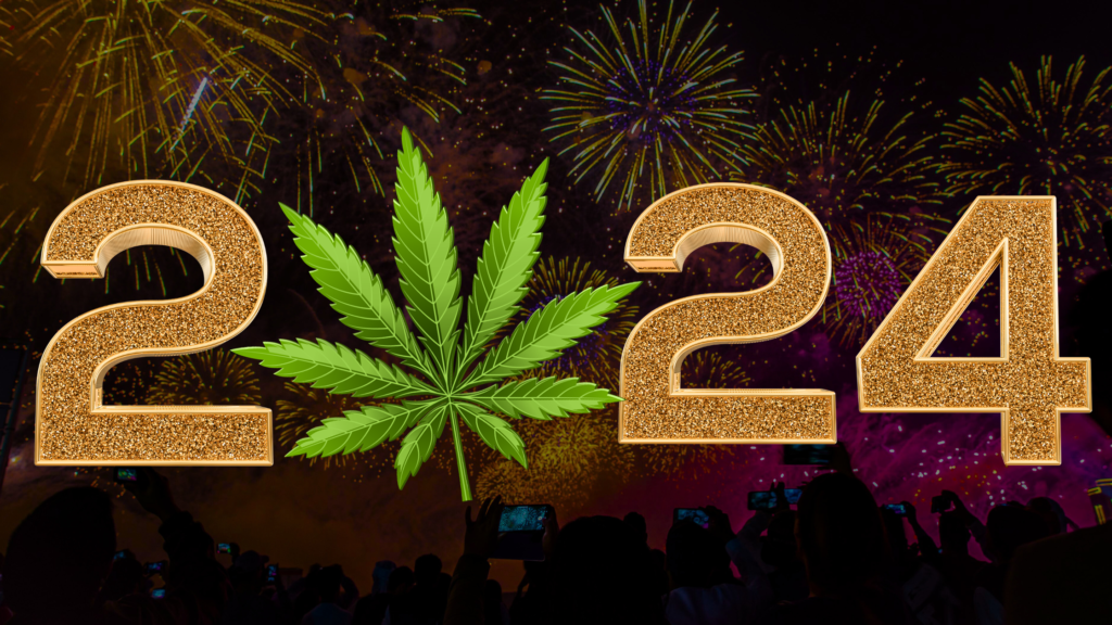 Cannabis Infused New Years Eve Celebration