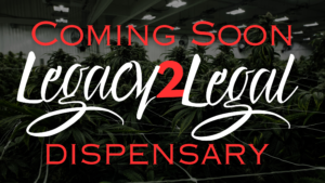 Scarlet Reserve Room Legacy 2 Legal Dispensary Coming Soon Englishtown New Jersey