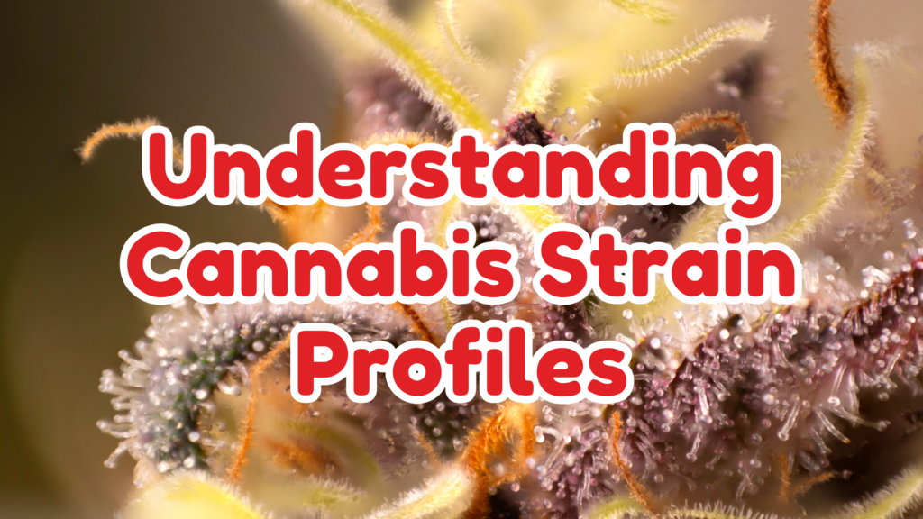 Understanding Cannabis Strain Profiles