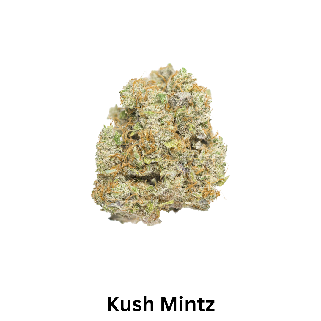 Secret Nature THCA Flower - Kush Mintz at Scarlet Reserve