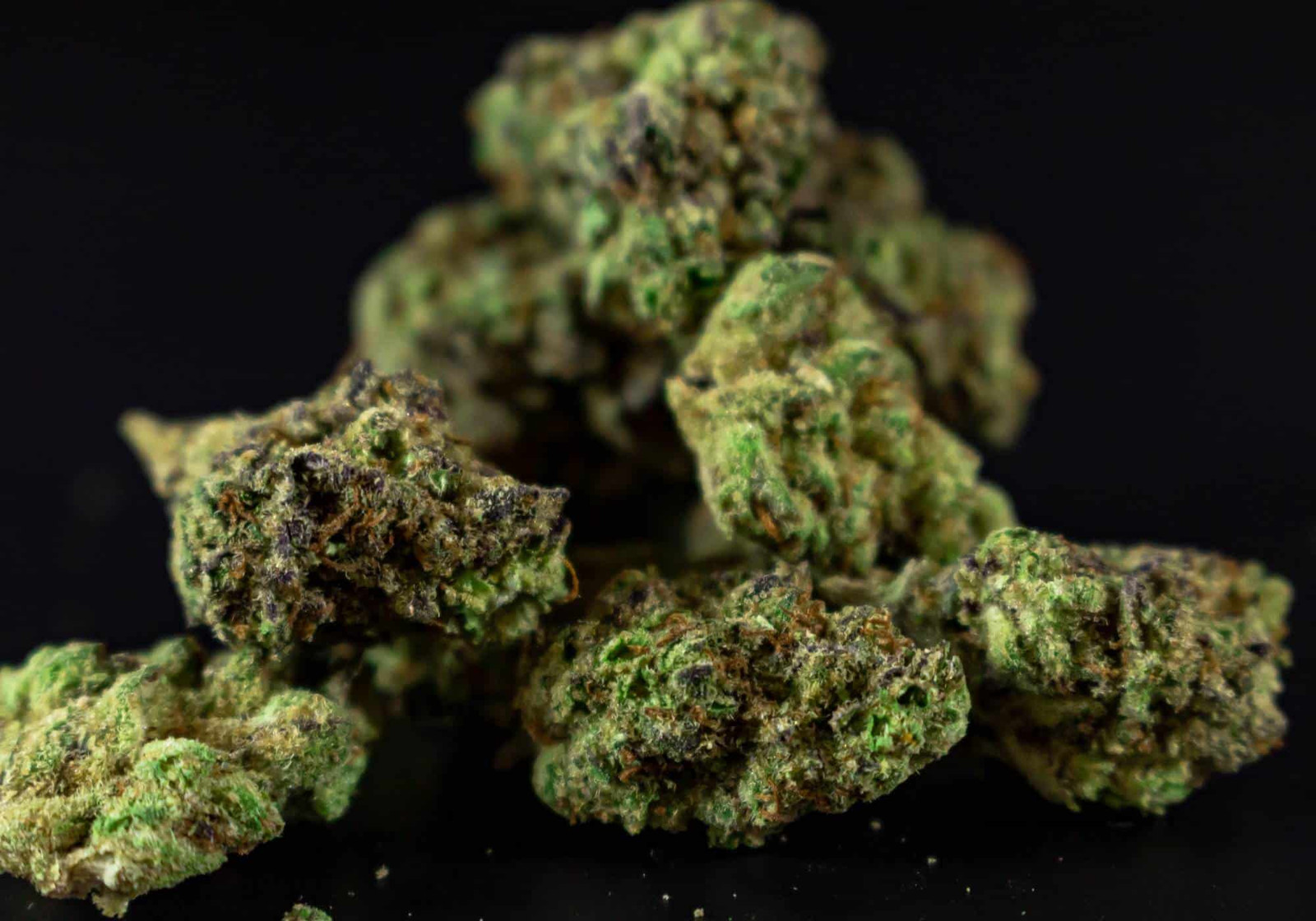 Looking for real THCa flower in Monmouth County? Discover premium, lab-tested THCa strains at Scarlet Reserve in Matawan, NJ.
