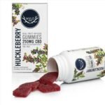 WYLD CBD Gummies Huckleberry and Raspberry
