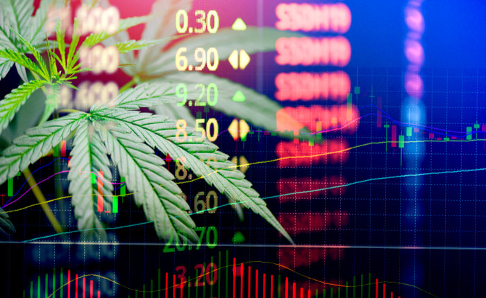 wallstreet bets reddit cbd cannabis stocks sundial