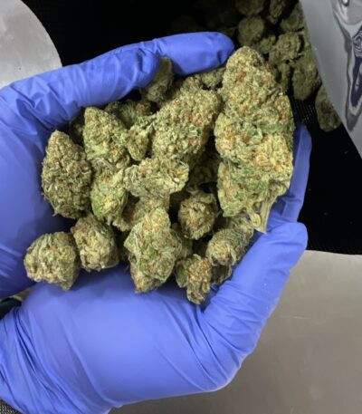Sour Diesel THCA Flower available at Scarlet Reserve