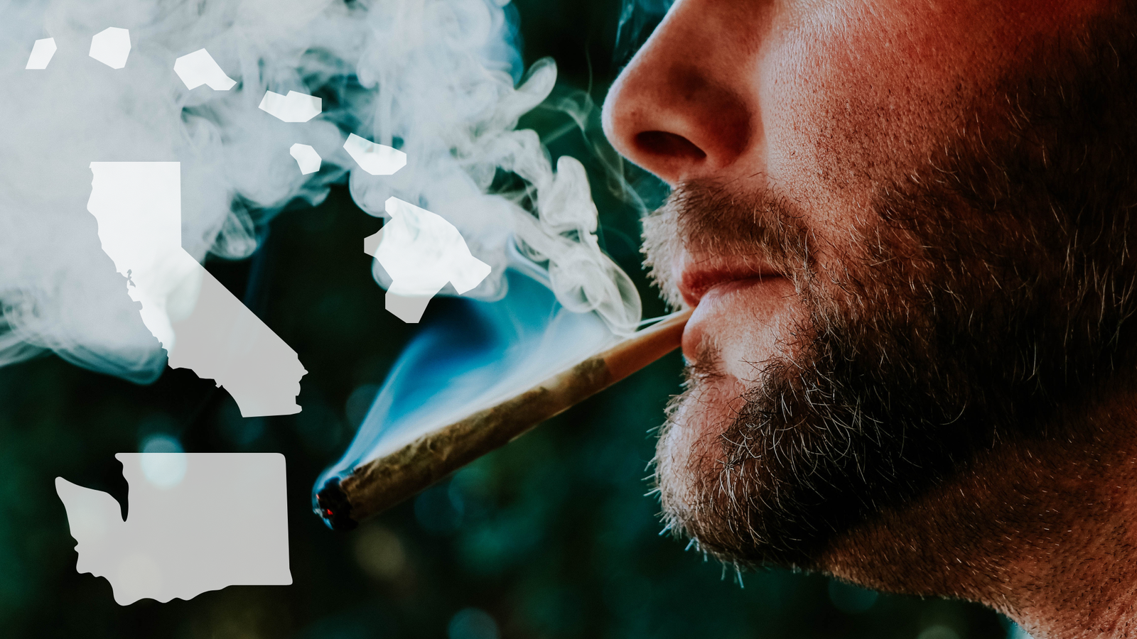 why-cannabis-legalization-increases-home-values