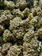 white guava sweet heat scarlet reserve matawan nj