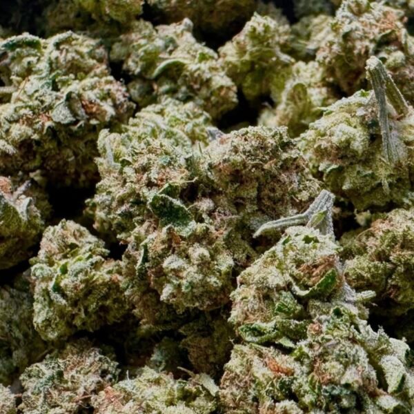 white guava sweet heat scarlet reserve matawan nj