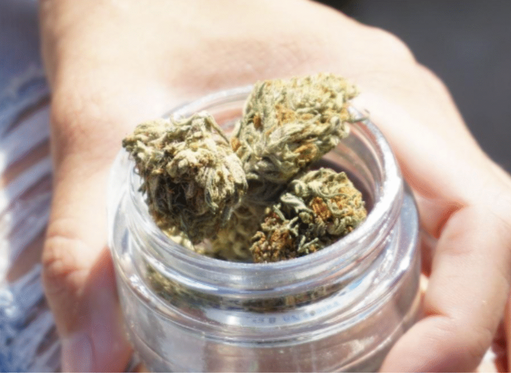 THCa Flower Bulk at Scarlet Reserve – Matawan NJ