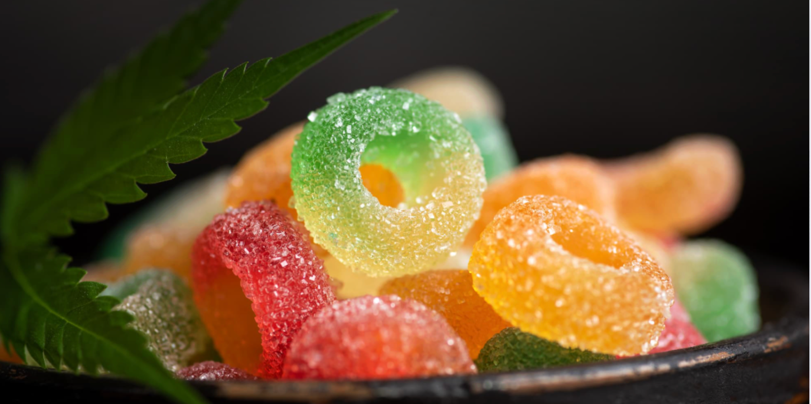 CBD Edibles: Why They’re Taking Over the Wellness World
