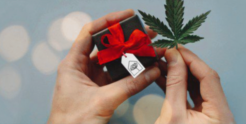 Scarlet Reserve- Holiday Cannabis Guide