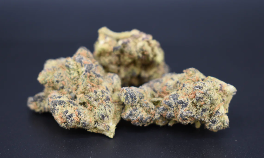 Screenshot 2026-01-22 at 1.12.36 PM