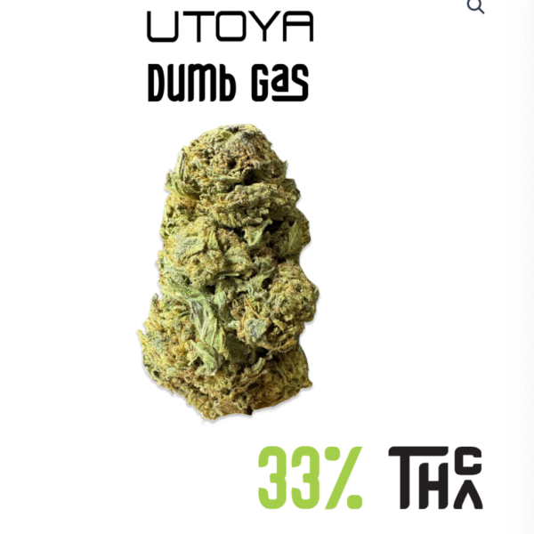 Dumb Gas - 33% THCa - Hybrid - Utoya