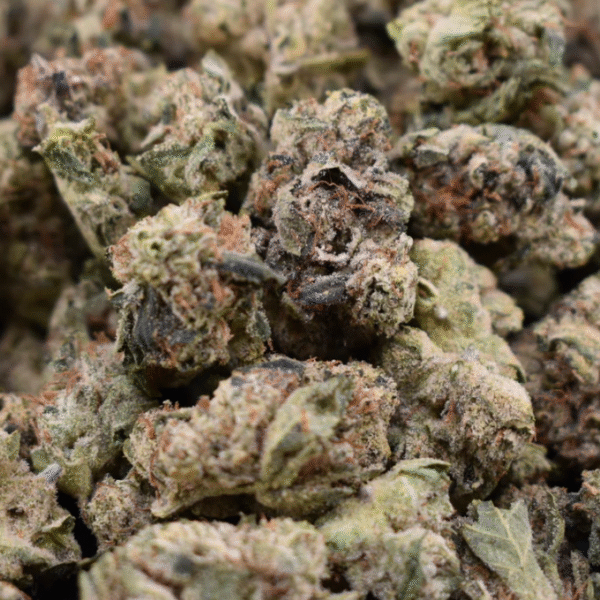 Lemon Drops - 35% THCa - Sativa - Sweet Heat