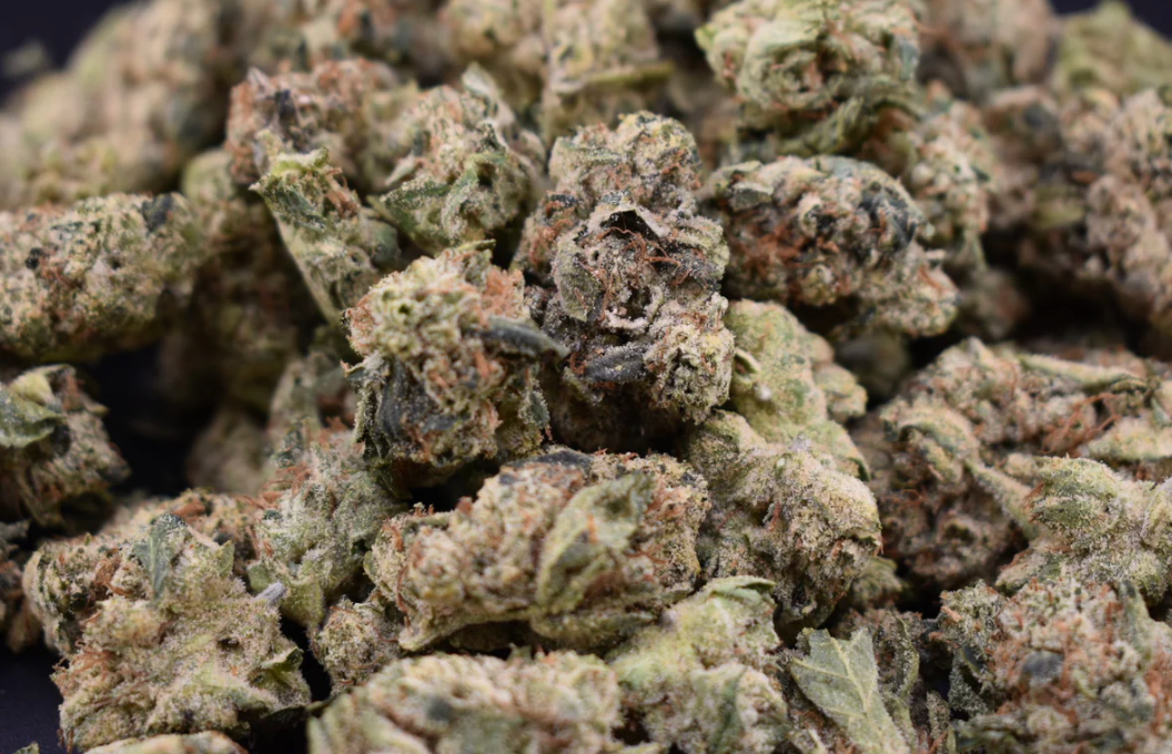 Screenshot 2026-01-22 at 1.54.52 PM