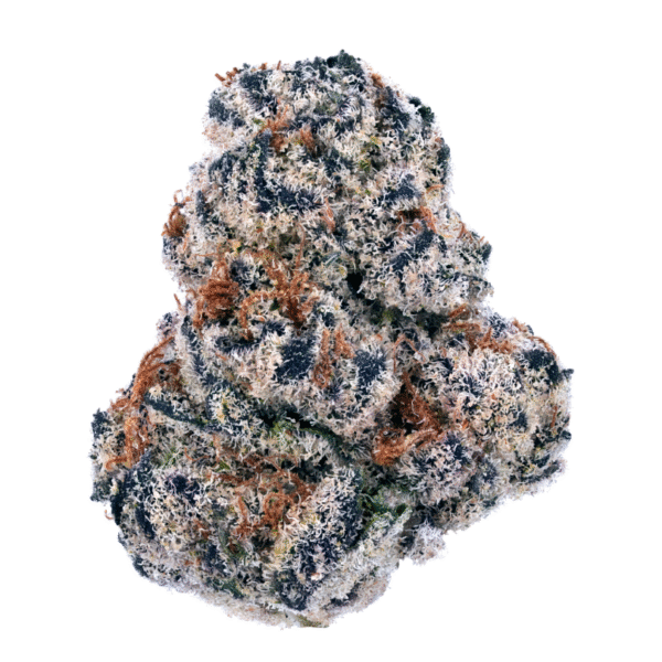 Purple Haze Destino Farms