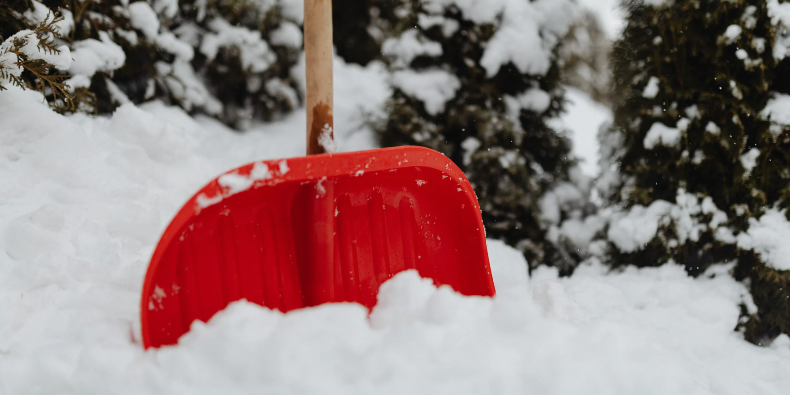 snow day cannabis guide