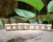 wellness routine