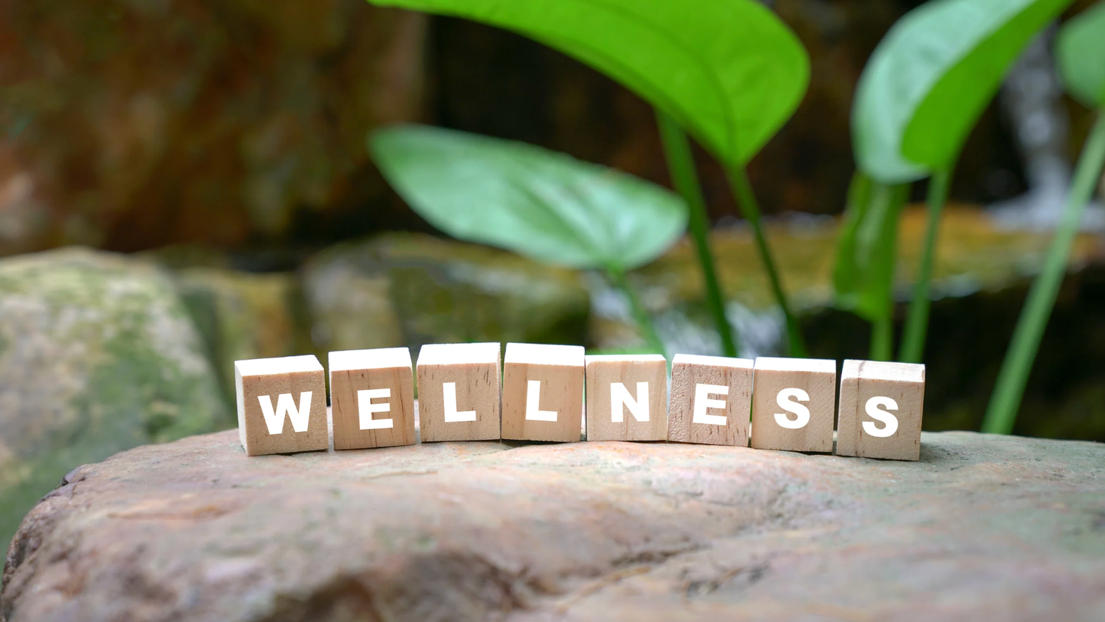 wellness routine